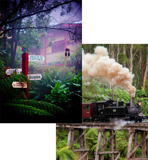 Puffing Billy Dandenong Ranges