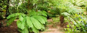 Garden Cottage – Como Cottages – Dandenong Ranges